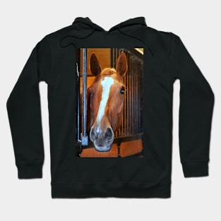 beautiful thoroughbred... Hoodie